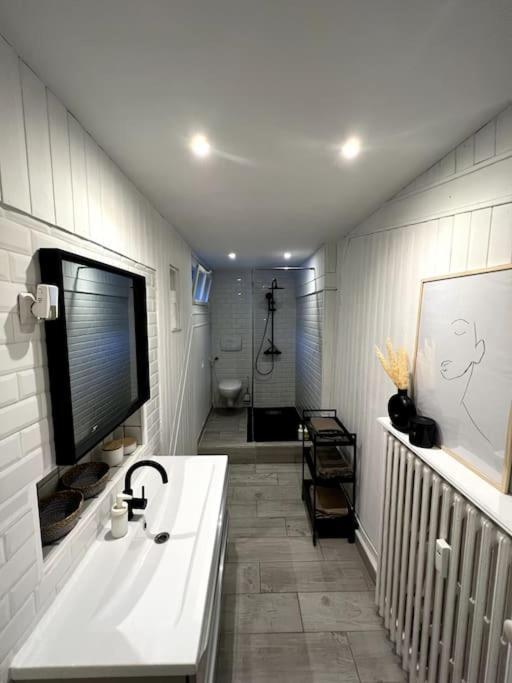 Apartmán Superbe Duplex En Hyper Centre Saint-Etienne  Exteriér fotografie